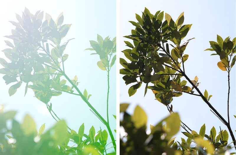 Flare and ghosting reduction