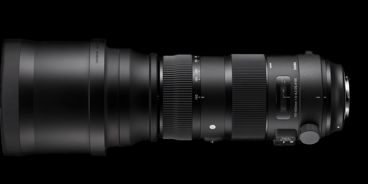 SIGMA シグマ　150-600mm F5-6.3 DG DN OS Sigma 150-600mm F5-6.3 DG DN OS | Sports — Sigma Canada