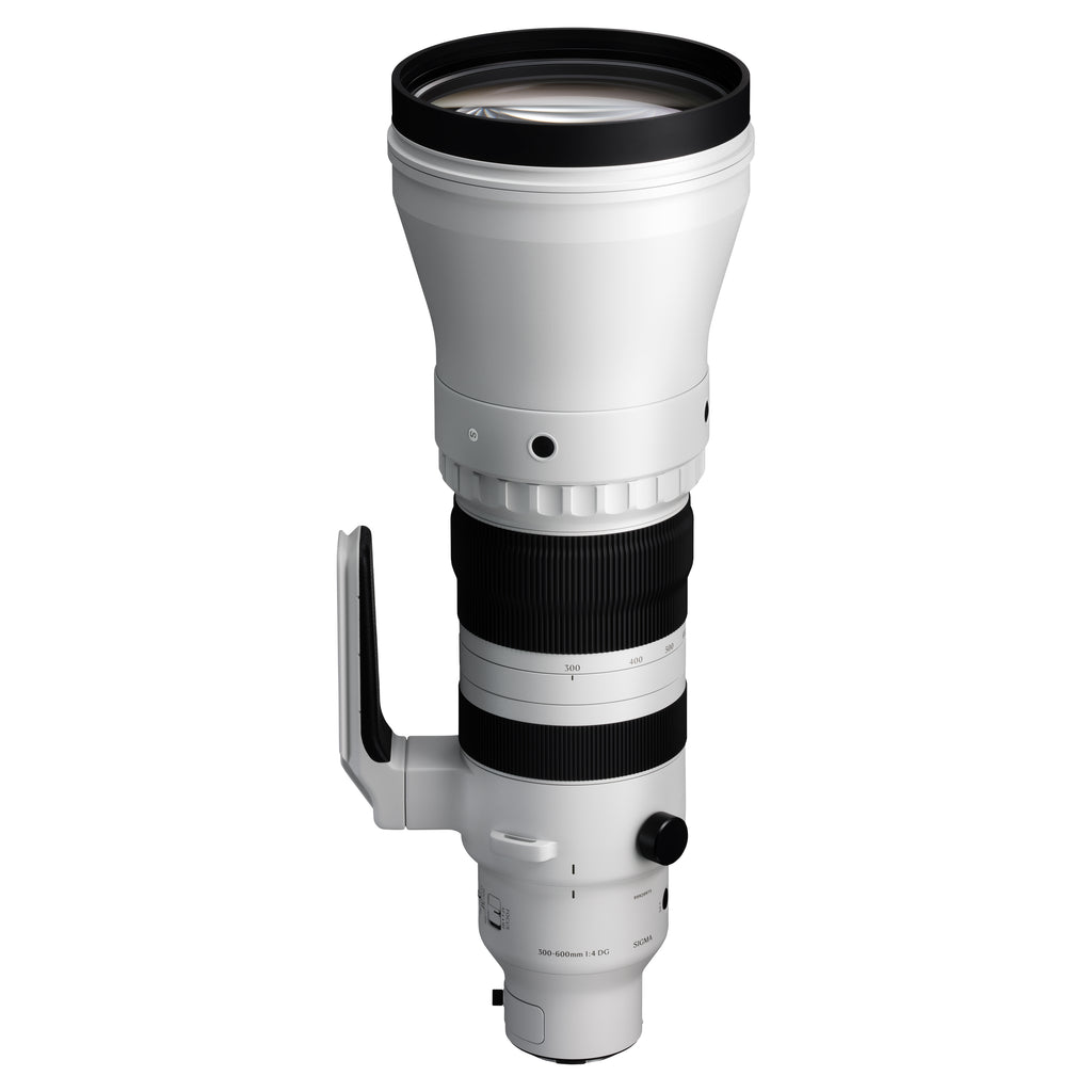 Sigma 300-600mm f/4 DG OS Sports Lens (L-mount)